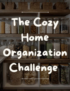 Cozy Home Organization Challenge DIY Home Organization Ideas